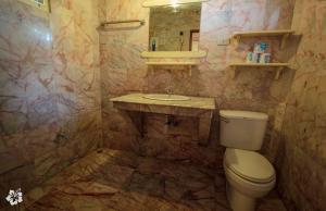 toilet_old